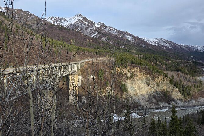 Denali National Park Shuttle - Summary: Who Will Love This Experience?