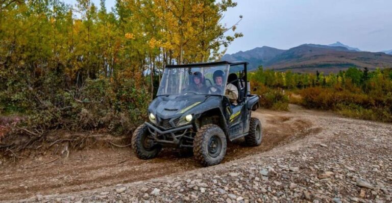 Denali National Park: Wilderness ATV Adventure - The Itinerary and Experience in Detail