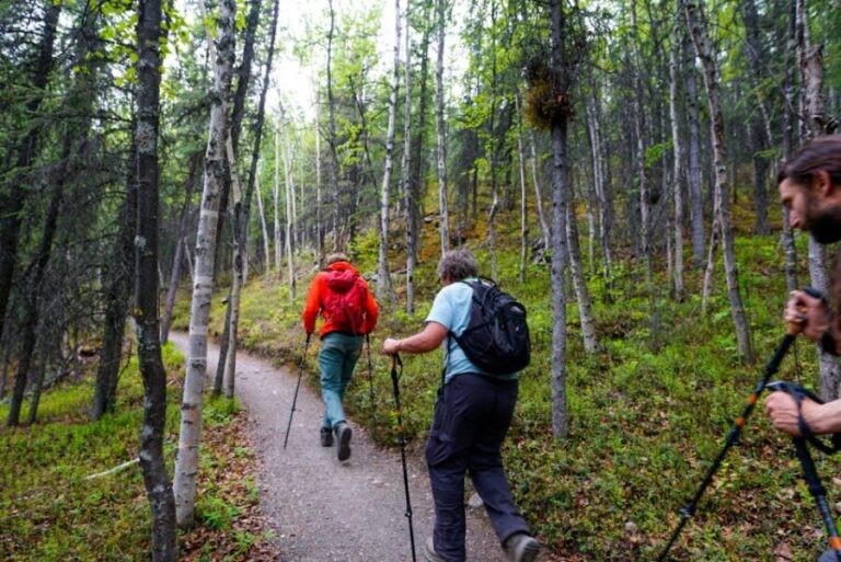 Denali: Naturalist Walking Tour in Denali National Park - Final Words: Is This Tour for You?