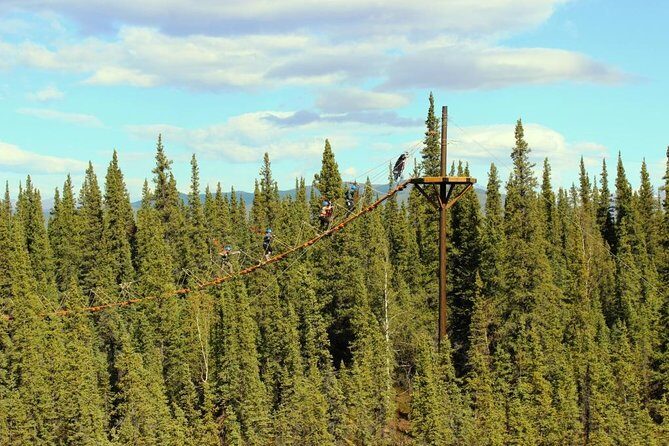 Denali Park Zipline Adventure - Analyzing the Experience