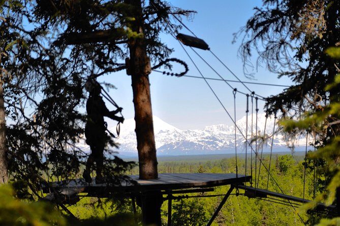 Denali Zipline Tour in Talkeetna, AK - Practical Tips for Travelers