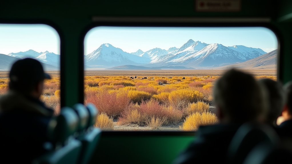 denali park bus tours