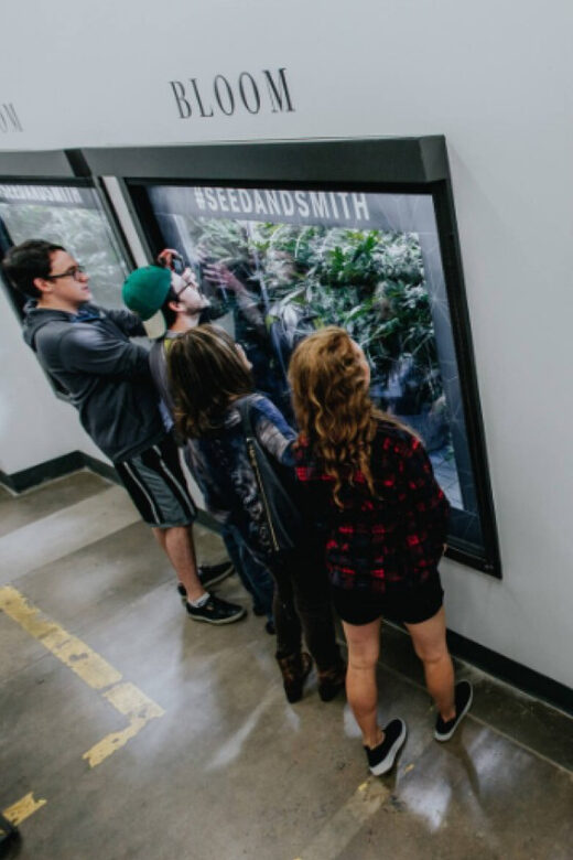 Denver: Buds & Brews Cannabis Grow Tour and Brewery Visit - Who Should Consider This Tour?