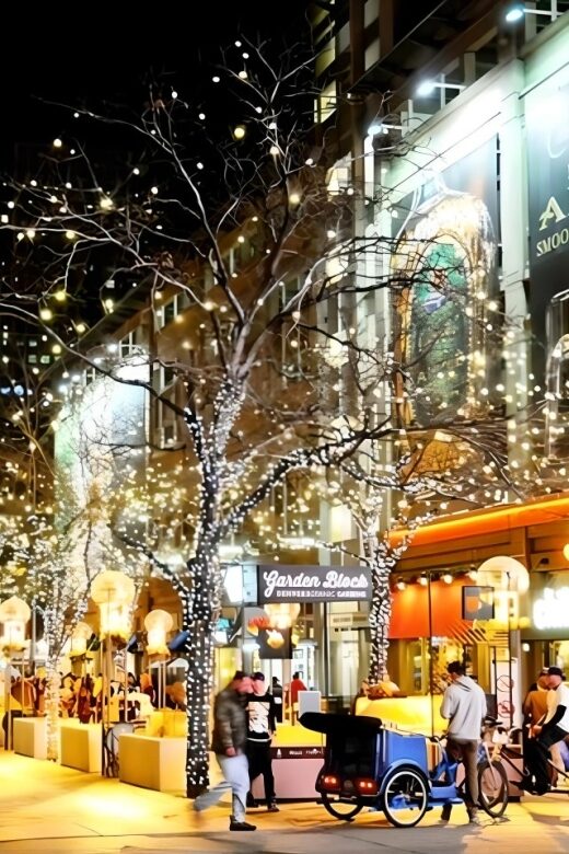 Denver: Holiday Lights & Sights Bus Tour - What to Expect: Enjoying the Holiday Glow