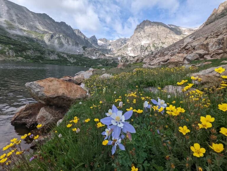 Denver: Private Rocky Mountain National Park Wildlife Tour - Who Should Consider This Tour?