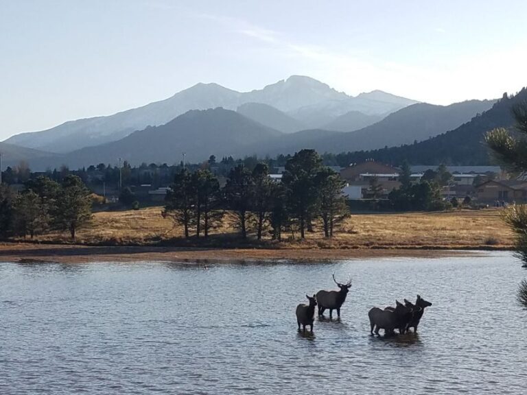 Denver: Rocky Mountain National Park Tour with Picnic Lunch - Why This Tour Is a Great Choice