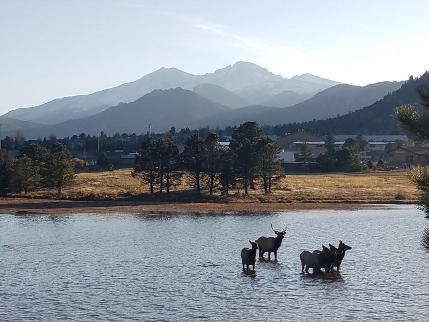 Denver: Rocky Mountain National Park Tour with Picnic Lunch - Why This Tour Is a Great Choice
