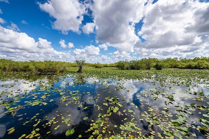 Depart from Miami to discover the Everglades with Airboat tour included! - What Travelers Are Saying