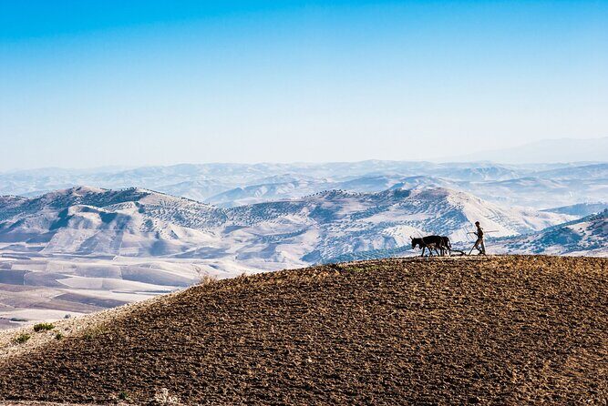 Desert Agafay & Atlas Mountains, Valleys & Waterfalls Tour from Marrakech - Who Will Love This Tour?