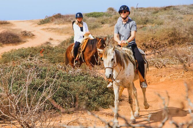 Desert and Beach Horseback Riding Experience in Cabo - Practical Details and Value