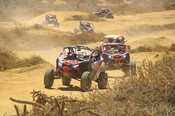 Desert and Beach Off Road Tour in Cabo San Lucas - The Value of the Experience