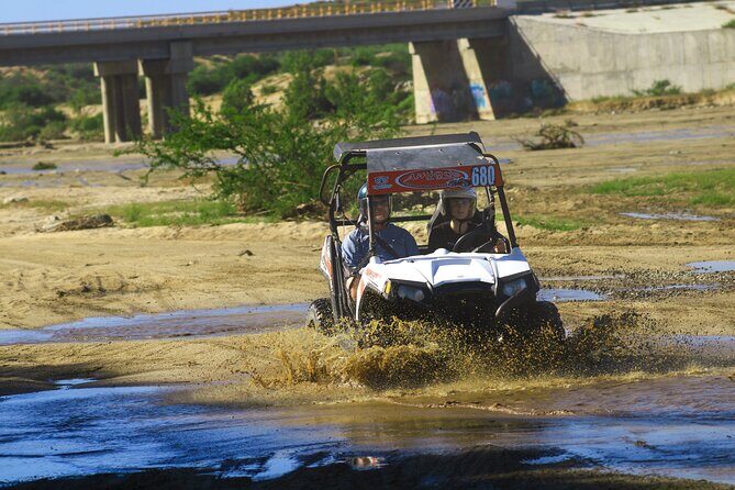 Desert and Beach UTV Adventure with Tequila Tasting - Who Should Book This Tour?