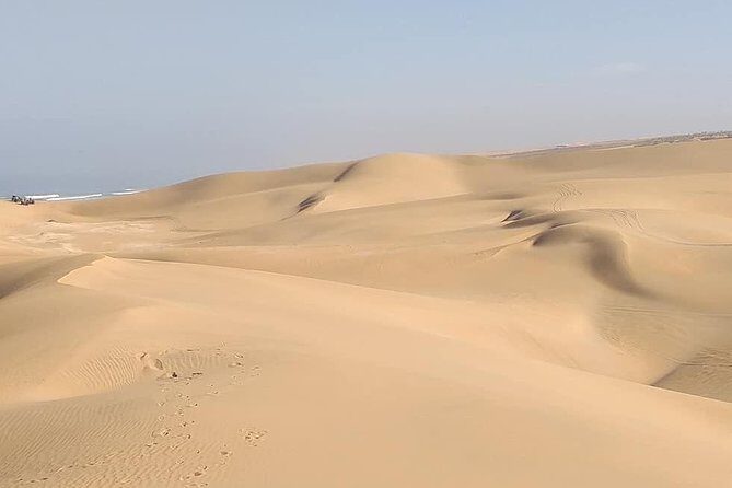 Desert and Wild Beach Day Trip with Meal - Practical Details: What You Should Know
