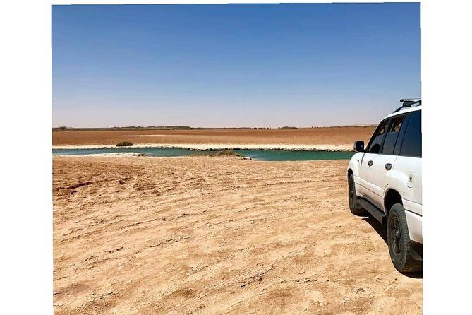 Desert Experience-FullTour-Excursion- White Dune/Puerto Rico/Imlili - Pricing and Value Analysis