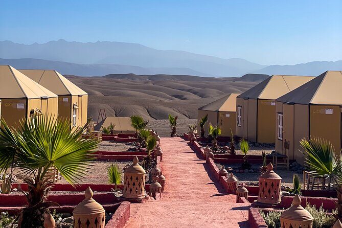 Desert Full Day: Quad, Camel, Dinner & Show or Pool Day and Lunch - The Sum Up