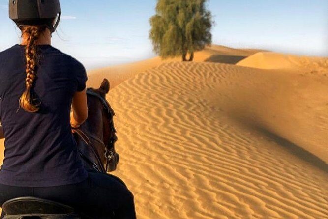 Desert Horse Riding Experience in Dubai - What the Reviews Say
