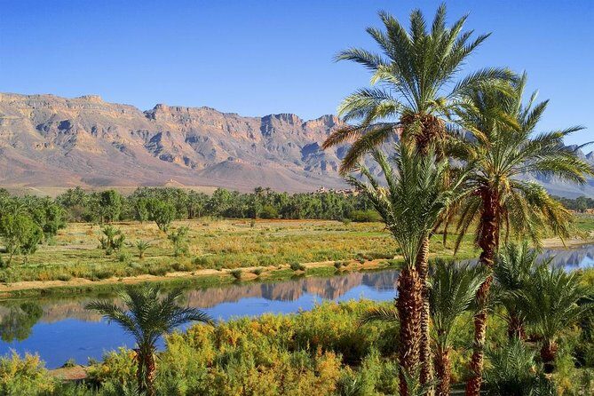 Desert Odyssey: A 2-Day Journey from Marrakech to Zagora - Authentic Experiences and Practical Details