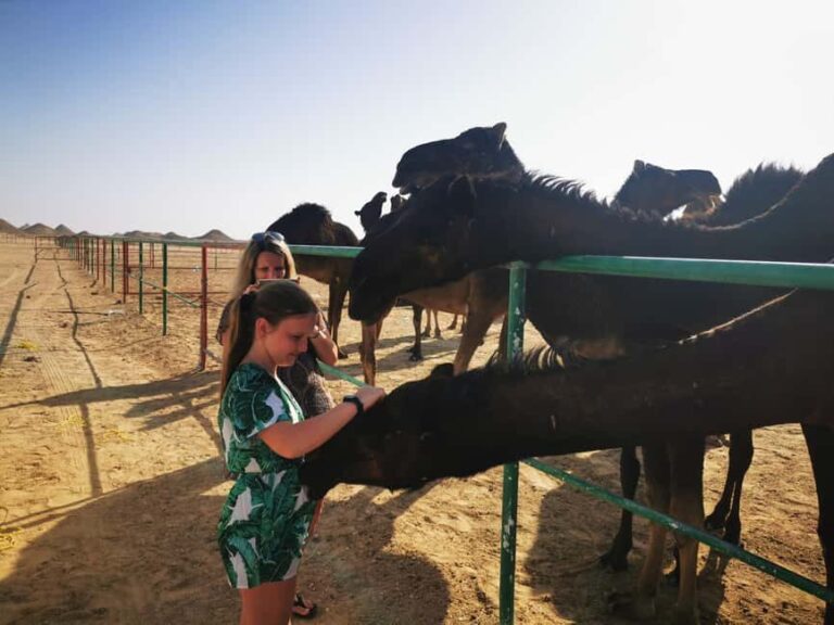 Desert Overnight Tour 1 VisitSalalah - What Makes This Tour Special?