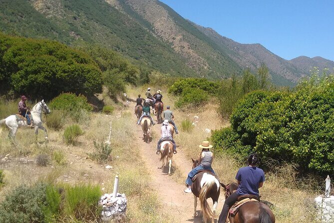 Desert Peaks on Horseback, Exploring Mountain Trails of Ensenada - Who Will Love This Tour?