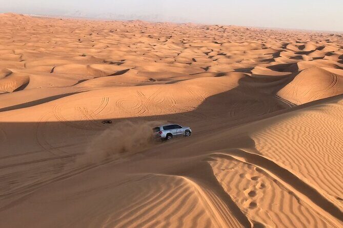 Desert Safari Dubai - Final Thoughts: Who Should Consider This Tour?