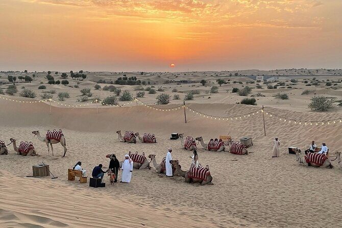 Desert Safari Dubai Experience with Dinner - The Balance: Adventure vs. Comfort