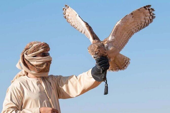 Desert Safari Dubai Sand Bashing, Camel Ride, Shows, Live BBQ - Analyzing the Value