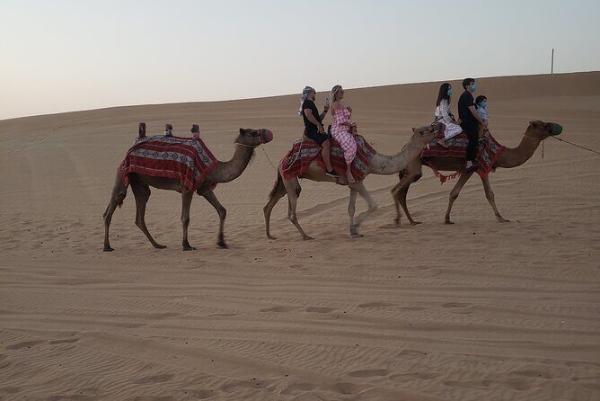 Desert Safari Dubai with Buffet Dinner & 3 live shows - Analyzing the Value