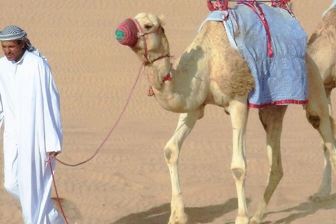 Desert safari, Dune bashing, sandboarding, camel, ATV Option - The Value: Is It Worth It?