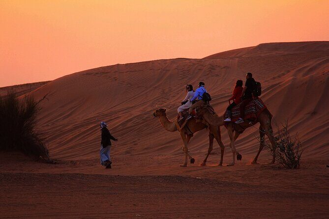 Desert Safari Experience from Dubai - What Sets This Tour Apart