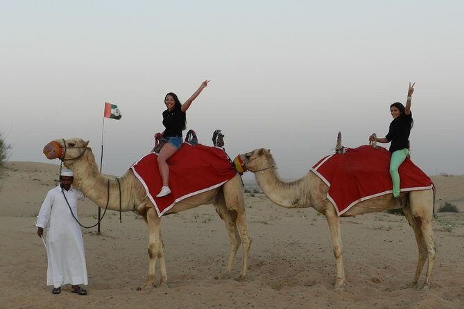 Desert Safari in Dubai Red Dunes with BBQ VEG Dinner - Analyzing the Value and Experience