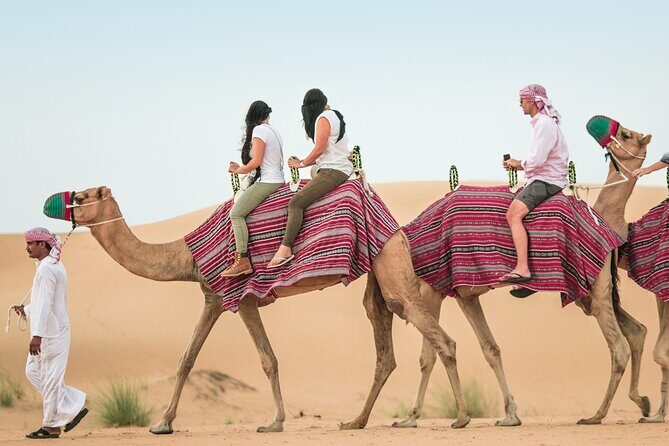 Desert Safari Qatar - Practical Tips for Your Desert Safari Qatar Trip
