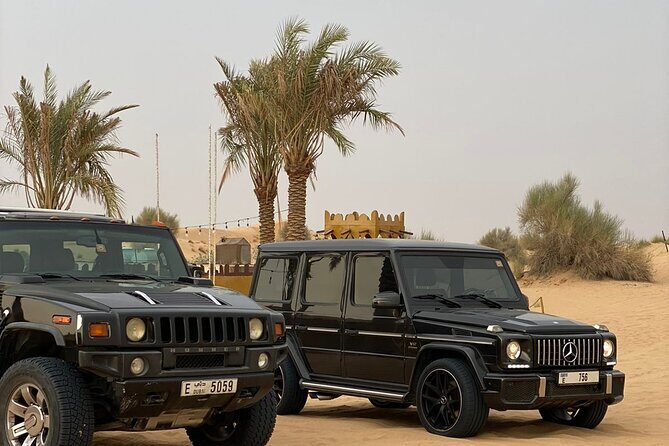 Desert Safari Tour in Dubai (Unique Desert Tourism) - The Experience from the Traveler’s Perspective