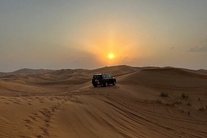Desert Safari with 30 minutes Buggy Ride with Camel Ride & Dinner - What Makes This Tour Stand Out