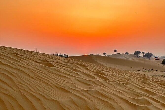 Desert Safari With Bab Al Shams Camp - Practical Tips for Travelers