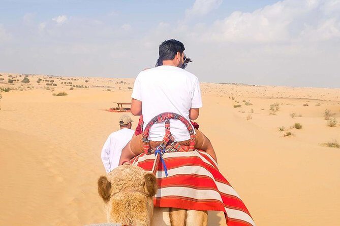 Desert Safari With Barbeque (BBQ) Dinner - Why This Tour Offers Great Value