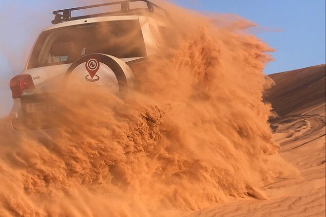 Desert Safari with BBQ Dinner - UAE Must Do - Who Is This Tour Best Suited For?