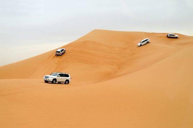 Desert Safari With Camel Ride and Dinner - Practical Tips for Travelers