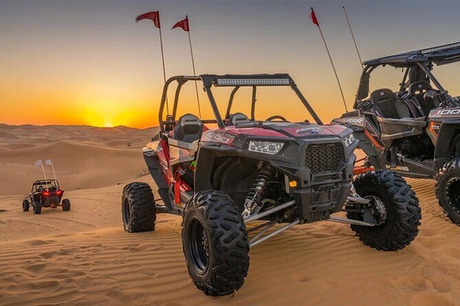 Desert Safari with Camel Ride, BBQ Dinner, Sand Board & Live Show - A Full Breakdown of the Desert Safari Experience