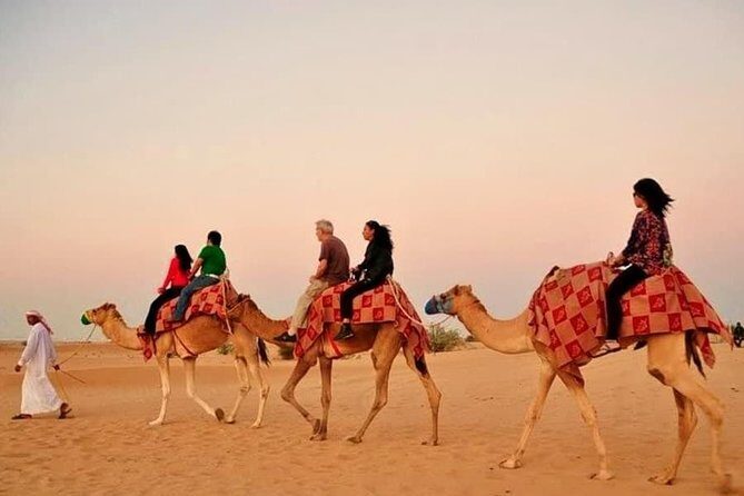 Desert Safari With Camel Ride - Practical Tips for Travelers