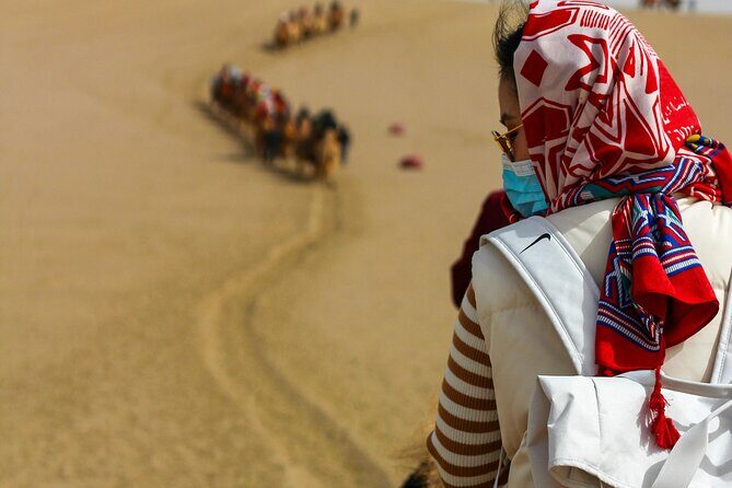 Desert Safari with Camel Riding and BBQ Dinner - The Sum Up