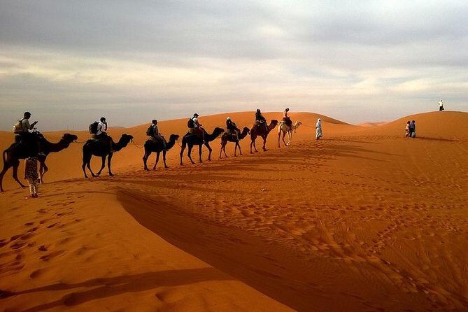 Desert Safari with Dinner 4WD - Who Is This Tour Best For?