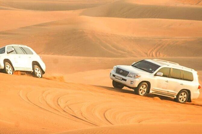 Desert Safari with Dune bashing BBQ Dinner and More Activities - Conclusions