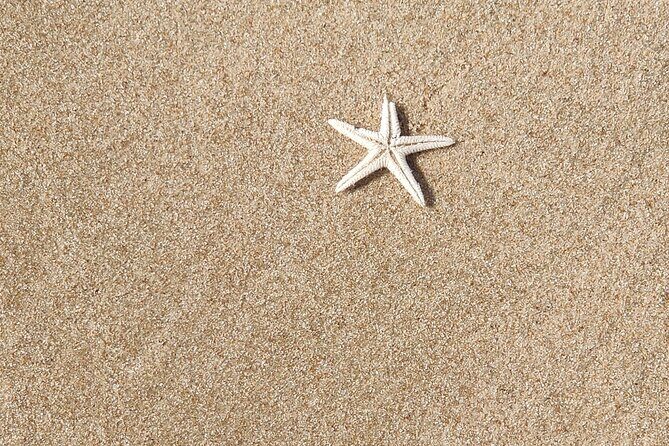 Desert Safari with Sandboarding and Inland Sea Private Tour - Authenticity and Quality: What Travelers Say
