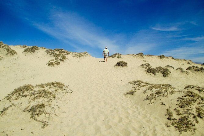 Desert Sahara Sand Dunes in Agadir - Authenticity and Traveler Feedback