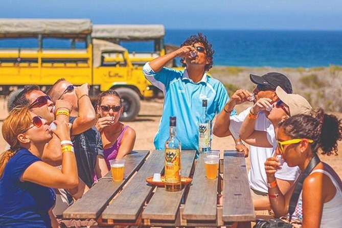 Desert & sea, Camel Safari tour in Los Cabos with lunch - What Travelers Are Saying
