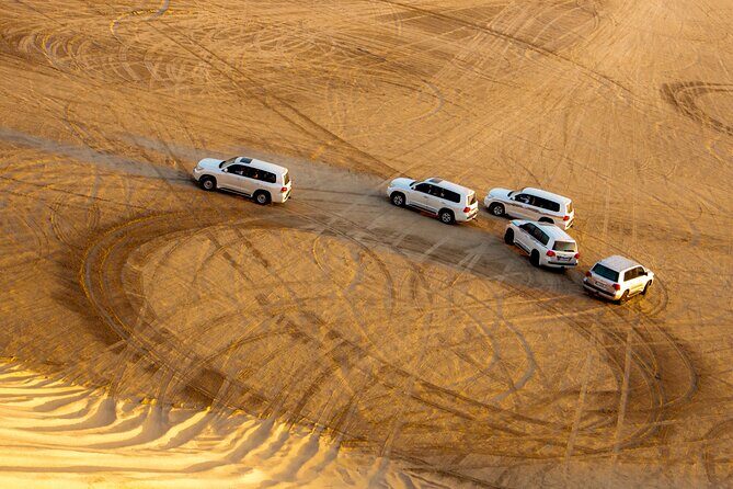 Desert Thrills Wild Dunes Safari in Doha - Why This Tour Works for Different Travelers