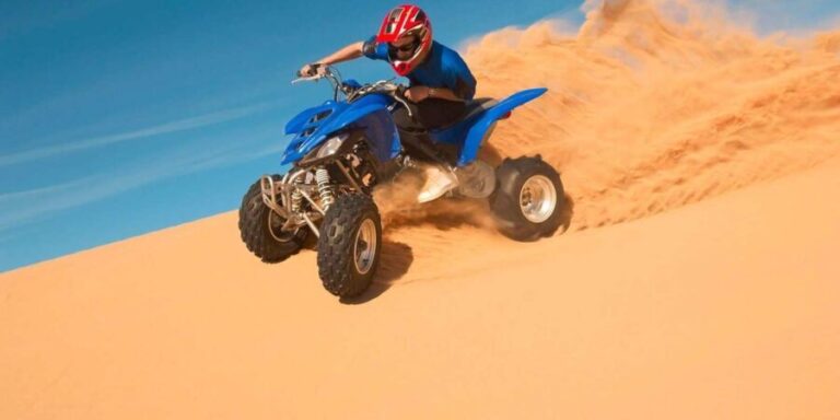 Desert tour dinner show & camel ride with sunset views - What Travelers Say