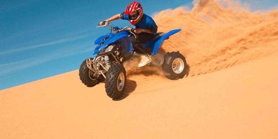 Desert tour dinner show & camel ride with sunset views - What Travelers Say