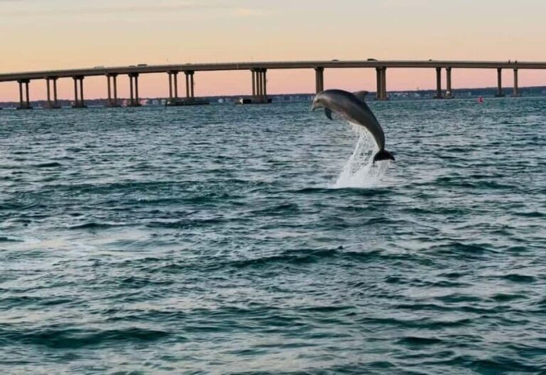 Destin: 90-Minute Boat Ride With Cruise Destin Bay - Why This Tour Might Be Perfect for You
