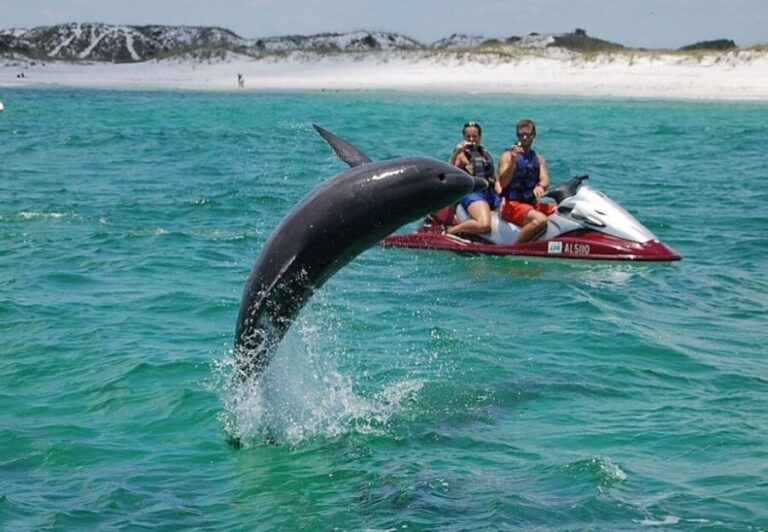 Destin: Crab Island Dolphin Watching Jet Ski Tour - Who Should Consider This Tour?